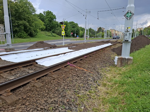 Zatravnění tramvajových pásů