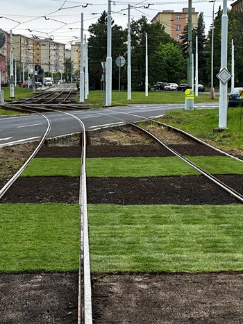 Zatravnění tramvajových pásů