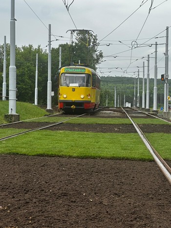 Zatravnění tramvajových pásů
